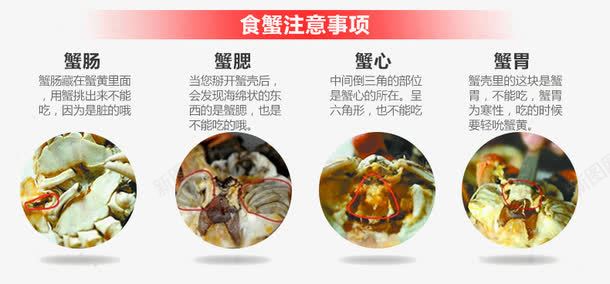 螃蟹详情页png免抠素材_新图网 https://ixintu.com 螃蟹 详情页图片 食蟹注意事项
