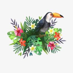 创意夏威夷大嘴鸟和花卉素材