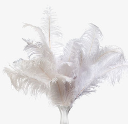 白色粉笔实物图家居用品羽毛摆件高清图片