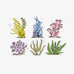 彩色海草精致手绘风格珊瑚藻高清图片