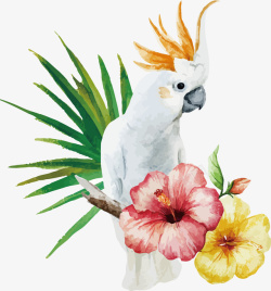 礼花花纹手绘鹦鹉与花朵矢量图高清图片