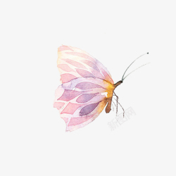 不同形态的蝴蝶卡通手绘文艺简约蝴蝶动物插画设高清图片