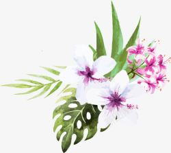 家纺家饰素材白色扶桑花和蝴蝶兰矢量图高清图片