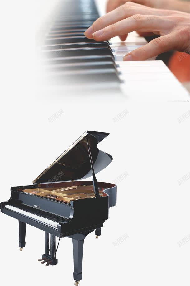 艺术培训钢琴教育png免抠素材_新图网 https://ixintu.com 弹钢琴 手 艺术培训 钢琴