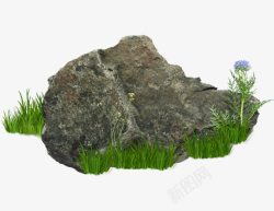 水滴中的小草草丛里的石头高清图片