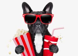 喝可乐的动物创意看电影的狗狗高清图片