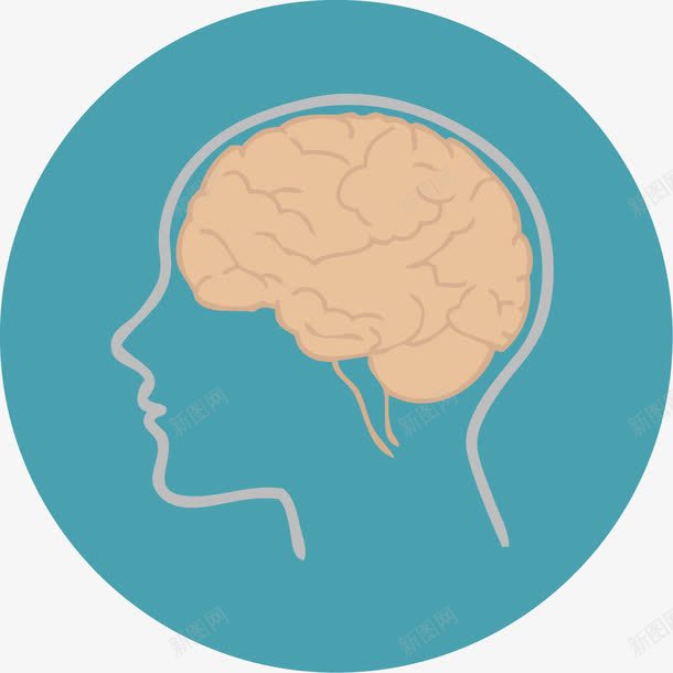 绿色人脑图标png_新图网 https://ixintu.com 人脑 卡通图标 大脑 头脑 思维 思考 最强大脑 脑浆 脑神经 透视的大脑