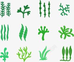 有机生物绿色海草高清图片