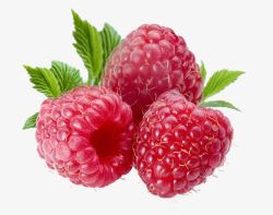 产品实物食物水果树莓素材