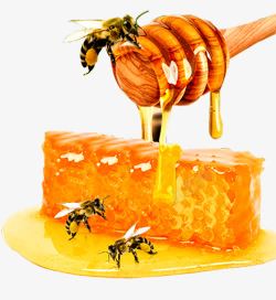 食品系类蜜蜂搅蜜棒高清图片