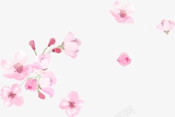 粉色水彩花朵教师节素材