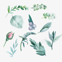 墨绿叶子春天手绘墨绿色植物装饰高清图片