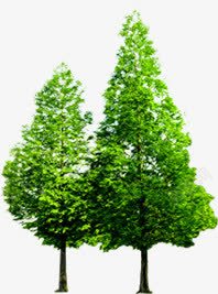 绿色清新春天园林树木素材