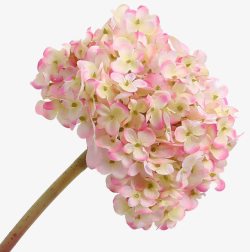 欧式仿真装饰花粉色花球素材