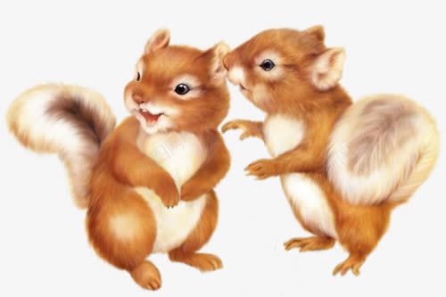 两只小松鼠png免抠素材_新图网 https://ixintu.com 卡通动物 小宠物 松鼠