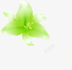 清晰绿色百合花卉名片素材