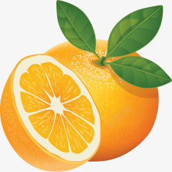 新鲜血橙手绘橙子高清图片