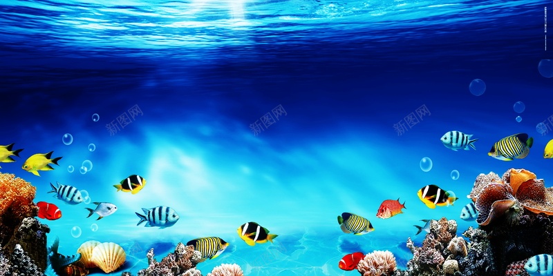 蓝色海洋广告背景psd设计背景_新图网 https://ixintu.com PSD 仲夏 平面 广告 彩色鱼群 模板 海报 珊瑚黄色变形 素材 背景 蓝色海洋