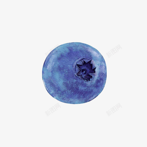 蓝莓手绘画片psd免抠素材_新图网 https://ixintu.com 水果 色彩画 蓝紫色 蓝莓