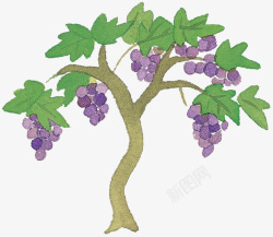 手绘葡萄树生动俏皮卡通装饰手绘葡萄园高清图片