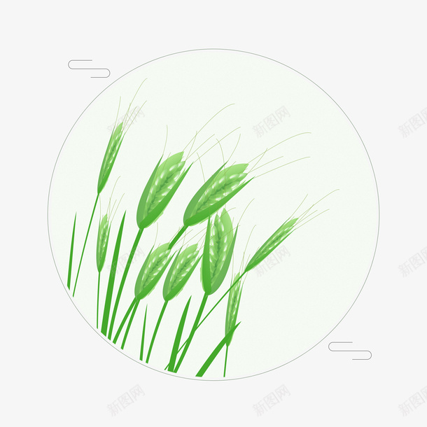 绿色的稻谷元素png免抠素材_新图网 https://ixintu.com 圆形 手绘植物 植物 水稻 稻谷 粮食 绿植