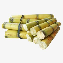 蔗竹甘蔗高清图片
