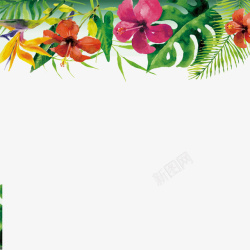 柔美女性热带雨林锦簇的花朵树叶手绘边框高清图片