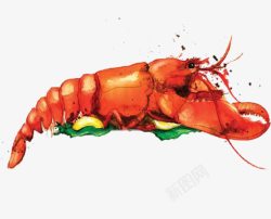 珍贵食材手绘红色美味龙虾高清图片