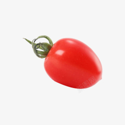 新鲜柿子产品实物营养千禧果高清图片