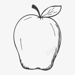 黑白苹果线描苹果高清图片