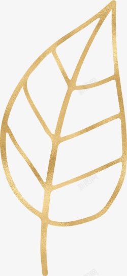 简单平面示意手绘金色树叶高清图片