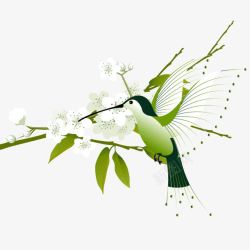 春季梨花与小鸟素材
