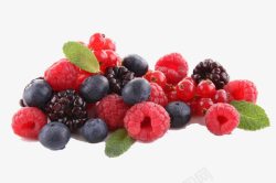 食物水果补充维生素营养桑葚树莓素材