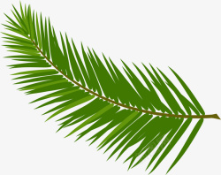 国情卡通绿色棕榈叶高清图片