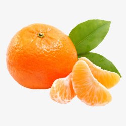 可口的橘子产品实物色泽亮丽蜜柑高清图片
