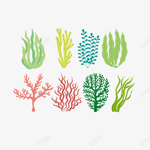简洁卡通珊瑚藻矢量图ai免抠素材_新图网 https://ixintu.com 卡通 海洋生物 海草 海葵图片 海藻 珊瑚 珊瑚藻 矢量图 简洁 简约 红珊瑚 绿海藻