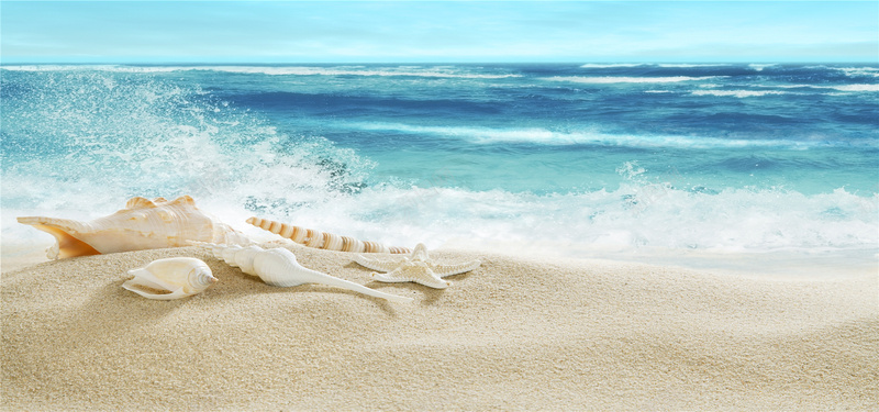 海螺与沙子图片浪花海边美丽风光背景摄影图片