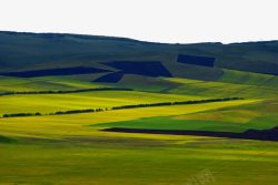 唿伦贝尔草原景区内蒙古呼伦贝尔草原高清图片