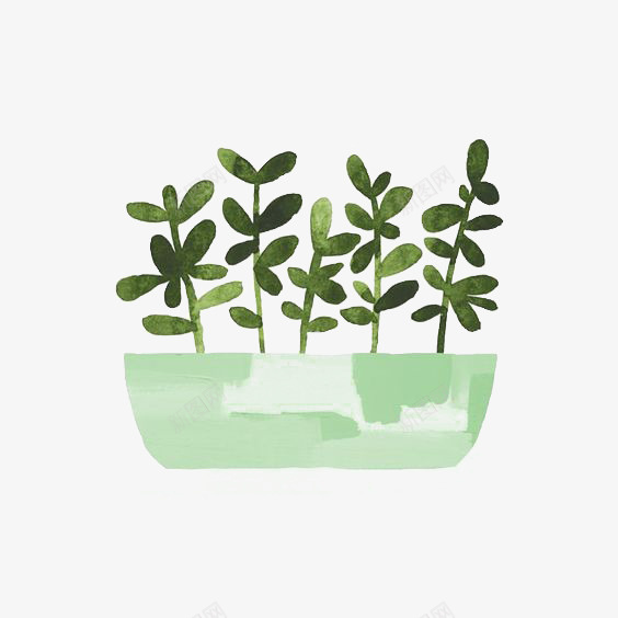 植物png免抠素材_新图网 https://ixintu.com 手绘 水彩植物 盆栽