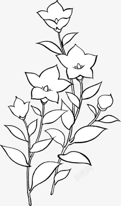 莲花装饰设计手绘图案手绘装饰线描花朵叶子物图图标高清图片