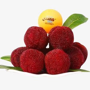 红色杨梅堆png免抠素材_新图网 https://ixintu.com 乒乓球 杨梅 水果 素材堆 红色 美食 食物