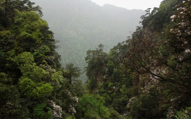 江西井冈山风景三png免抠素材_新图网 https://ixintu.com 井冈山 山水 旅游 风景