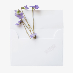 紫色花朵信封素材