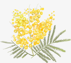淡黄色花朵满天星黄色矢量图高清图片