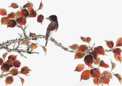 卡通枫树枝头小鸟高清图片