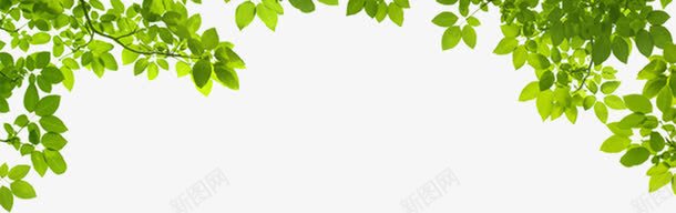 顶部绿叶png免抠素材_新图网 https://ixintu.com 植物 海报顶部修饰 绿叶丛 装饰图案