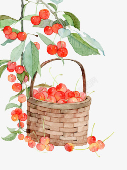 两篮子樱桃樱桃高清图片