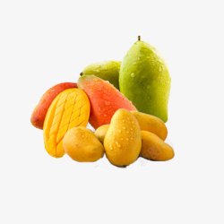 不同品种芒果大小不同品种高清图片