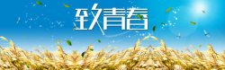 校园首页轮播banner大图背景