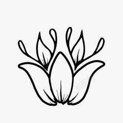 花朵边角黑白装饰手绘花卉高清图片